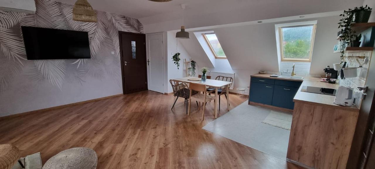 Apartament W Centrum - Nasze Poddasze Ustrzyki Dolne Bagian luar foto