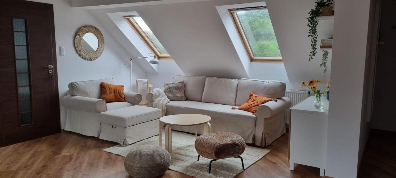 Apartament W Centrum - Nasze Poddasze Ustrzyki Dolne Bagian luar foto