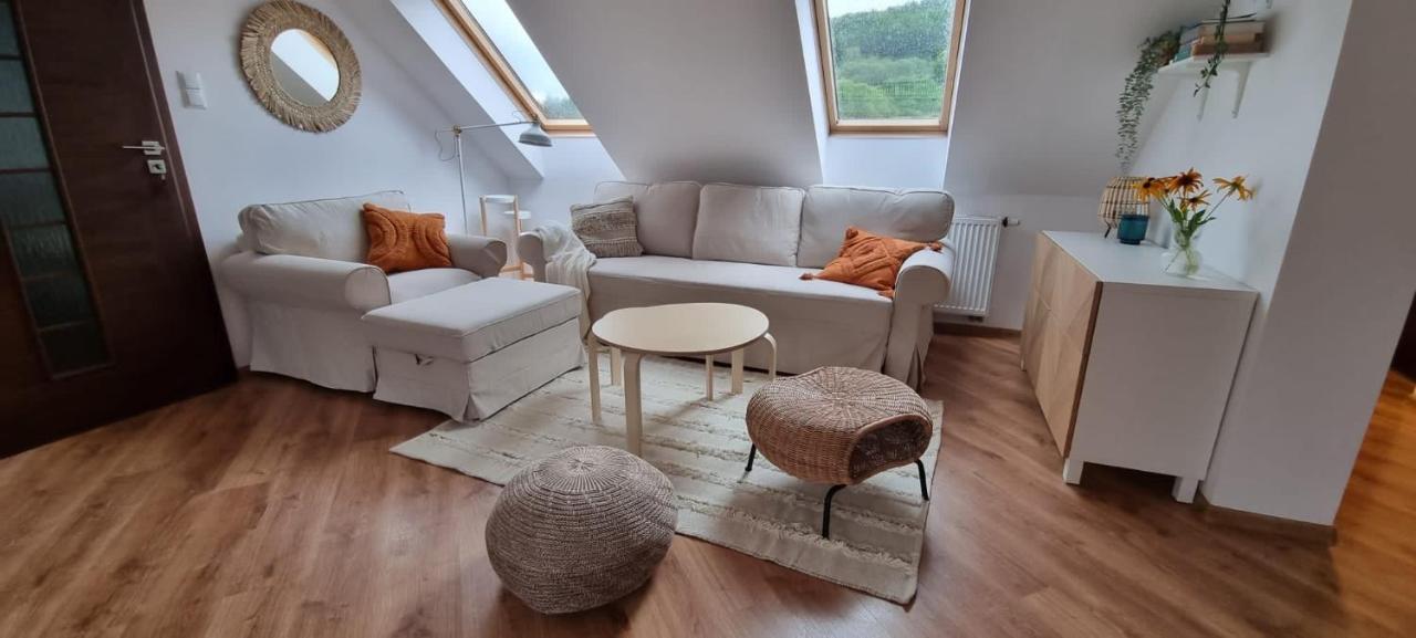 Apartament W Centrum - Nasze Poddasze Ustrzyki Dolne Bagian luar foto