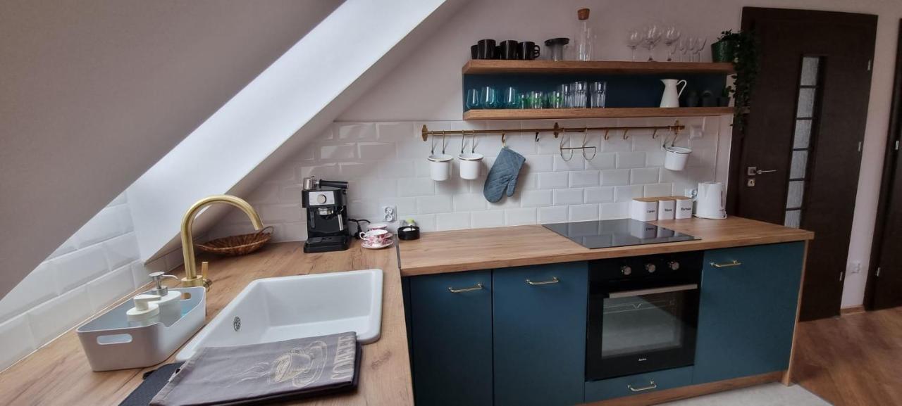 Apartament W Centrum - Nasze Poddasze Ustrzyki Dolne Bagian luar foto