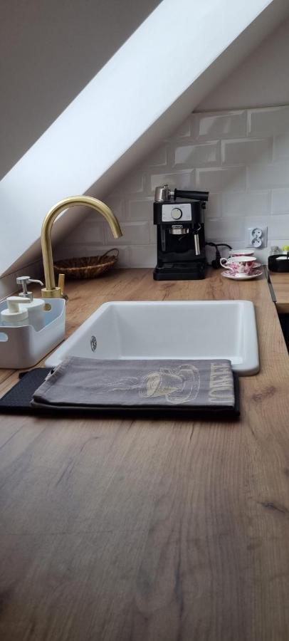 Apartament W Centrum - Nasze Poddasze Ustrzyki Dolne Bagian luar foto